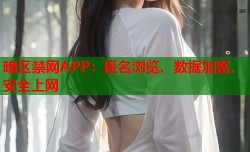 暗区禁网APP：匿名浏览、数据加密、安全上网
