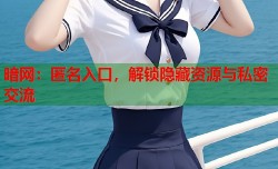 暗网：匿名入口，解锁隐藏资源与私密交流