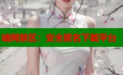 暗网禁区：安全匿名下载平台