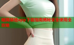暗网禁地app下载指南揭秘安全使用全攻略