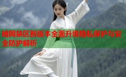 暗网禁区新版本全面升级隐私保护与安全防护解析