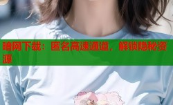 暗网下载：匿名高速通道，解锁隐秘资源