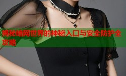 揭秘暗网世界的神秘入口与安全防护全攻略