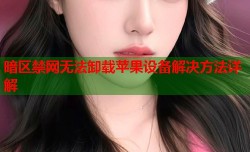暗区禁网无法卸载苹果设备解决方法详解
