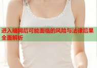 进入暗网后可能面临的风险与法律后果全面解析