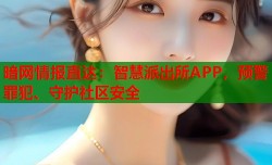 暗网情报直达：智慧派出所APP，预警罪犯、守护社区安全