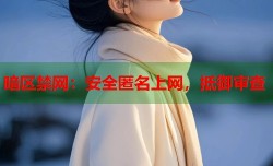 暗区禁网：安全匿名上网，抵御审查