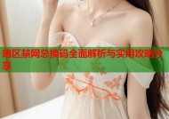 暗区禁网总换码全面解析与实用攻略分享