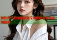 黄软件下载暗网禁区深度揭秘与安全使用指南