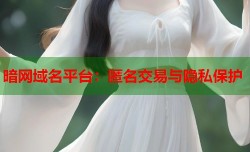 暗网域名平台：匿名交易与隐私保护