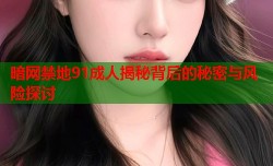 暗网禁地91成人揭秘背后的秘密与风险探讨