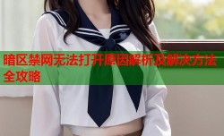 暗区禁网无法打开原因解析及解决方法全攻略