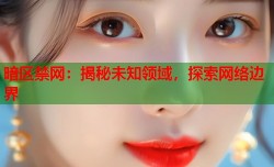暗区禁网：揭秘未知领域，探索网络边界