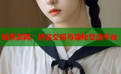 暗系禁网：匿名交易与隐秘交流平台