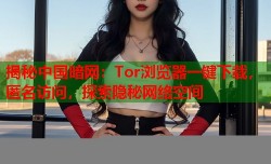 揭秘中国暗网：Tor浏览器一键下载，匿名访问，探索隐秘网络空间