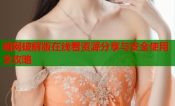 暗网破解版在线看资源分享与安全使用全攻略