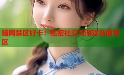 暗网禁区好卡：私密社交与游戏充值专区