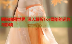 揭秘暗网世界 深入解析Tor网络的运作与影响