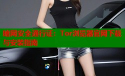 暗网安全通行证：Tor浏览器官网下载与安装指南