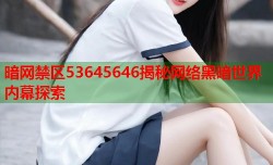 暗网禁区53645646揭秘网络黑暗世界内幕探索