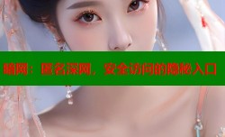 暗网：匿名深网，安全访问的隐秘入口