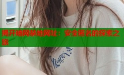 揭开暗网禁地网址：安全匿名的探索之旅