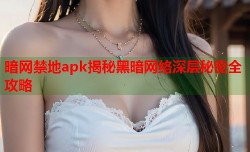 暗网禁地apk揭秘黑暗网络深层秘密全攻略
