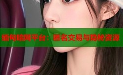 缅甸暗网平台：匿名交易与隐秘资源