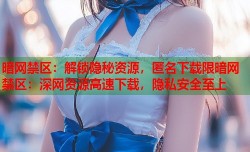 暗网禁区：解锁隐秘资源，匿名下载限暗网禁区：深网资源高速下载，隐私安全至上