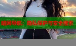 暗网导航：隐私保护与安全搜索