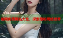 暗网免费网站大全，探索隐秘网络世界