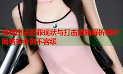 暗网违法犯罪现状与打击措施解析维护网络安全刻不容缓
