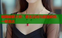 暗网破解大师：匿名访问与数据解锁，一键直达