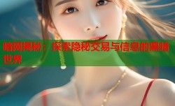 暗网揭秘：探索隐秘交易与信息的黑暗世界