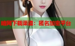 暗网下载渠道：匿名加密平台