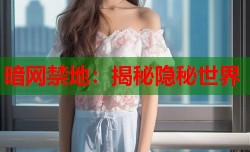 暗网禁地：揭秘隐秘世界