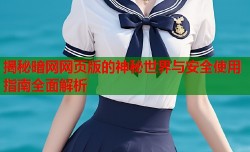 揭秘暗网网页版的神秘世界与安全使用指南全面解析