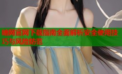 暗网官网下载指南全面解析安全使用技巧与风险防范