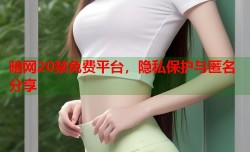暗网20禁免费平台，隐私保护与匿名分享
