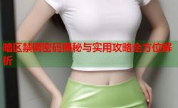 暗区禁网密码揭秘与实用攻略全方位解析