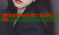 暗网禁地2024深度揭秘与安全探索全指南