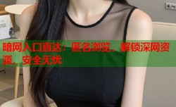 暗网入口直达：匿名浏览，解锁深网资源，安全无忧