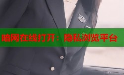 暗网在线打开：隐私浏览平台
