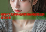 暗网中文世界揭秘探索隐秘网络背后的真实故事