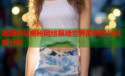 暗网论坛揭秘网络黑暗世界的秘密与风险分析