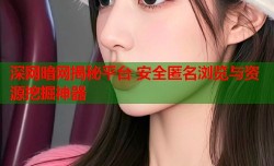 深网暗网揭秘平台 安全匿名浏览与资源挖掘神器