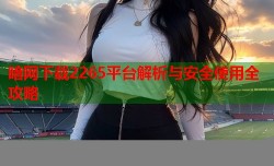 暗网下载2265平台解析与安全使用全攻略
