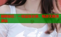 暗网禁区：一键盗版安装，畅游无限资源站