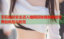 手机如何安全进入暗网探秘隐秘网络世界的风险与防范