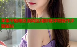 苹果平板暗区禁网应用卸载详细操作步骤解析